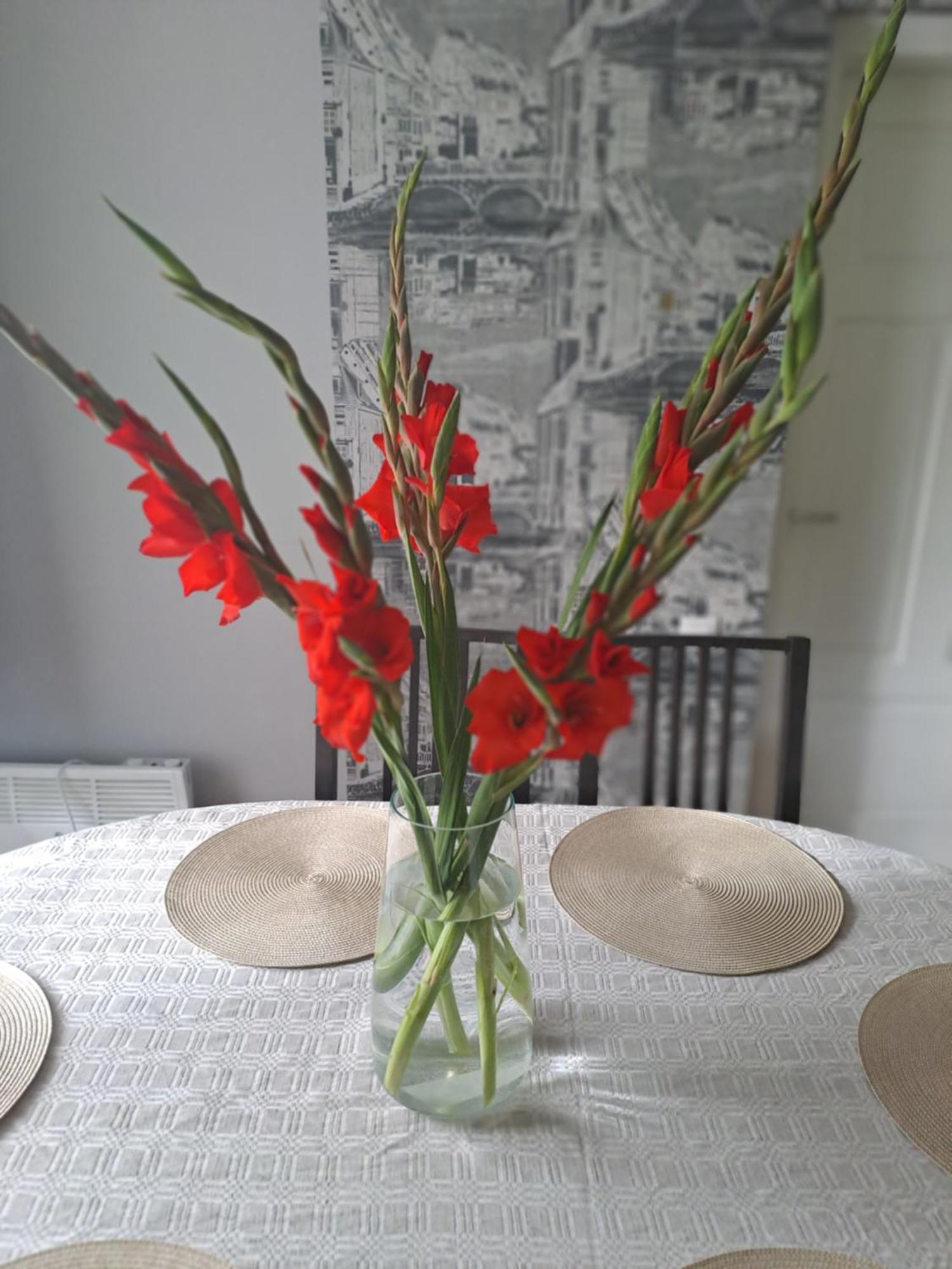 Kica Kroga Apartaments Ainaži Kültér fotó